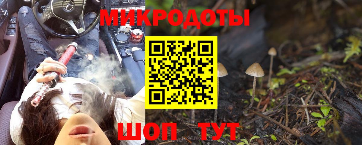 Псилоцибиновые грибы Psilocybine cubensis Верхняя Салда